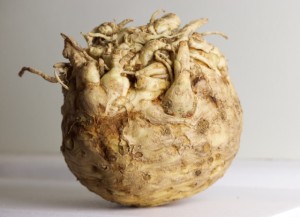 Celery Root in all its glory. Photo By Louise Crosby