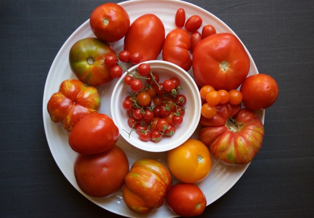 Tomatoes sauce preserves